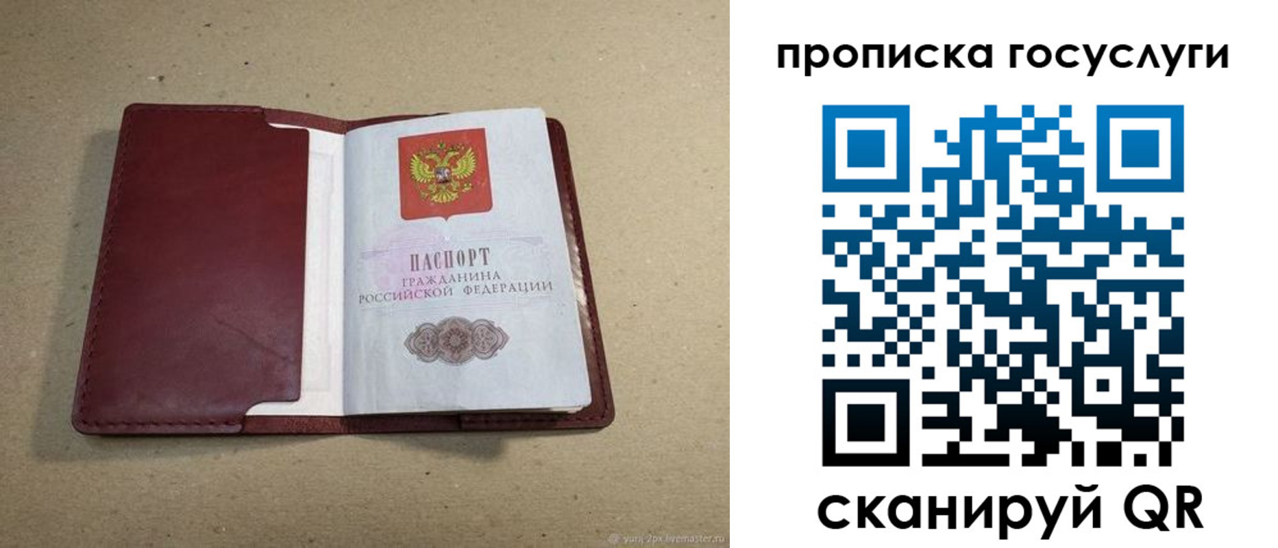 прописка поиск в Алтае